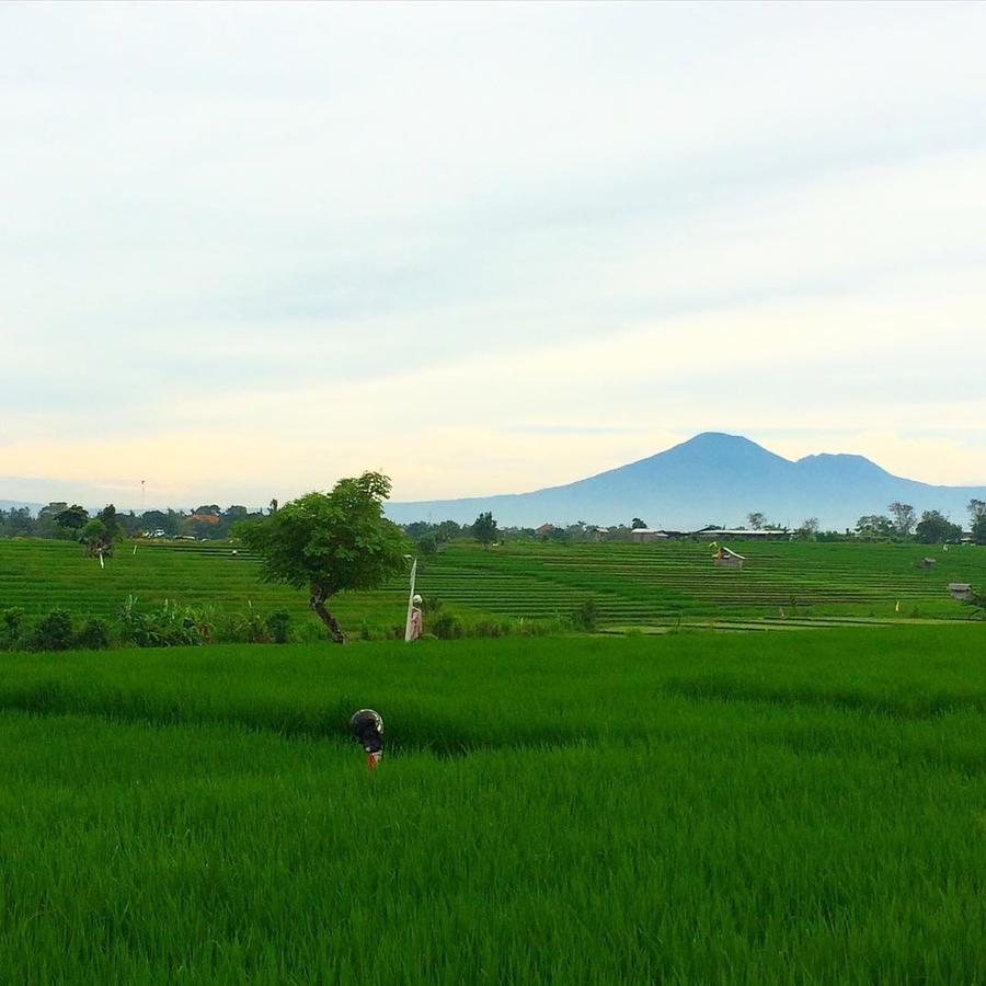 Canggu Beach Hostel ภายนอก รูปภาพ